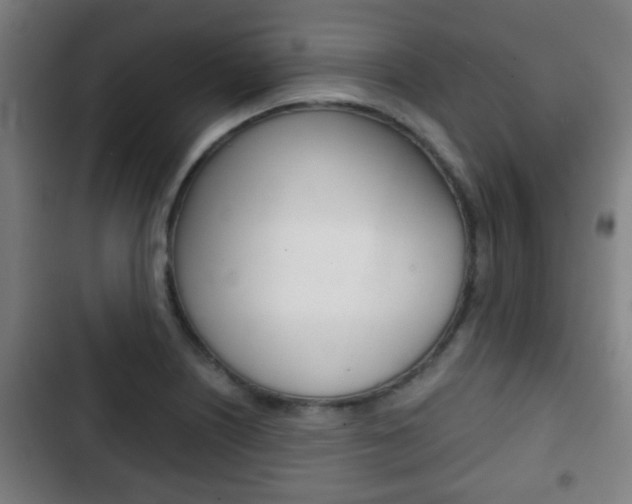 X0000103221226200808280918