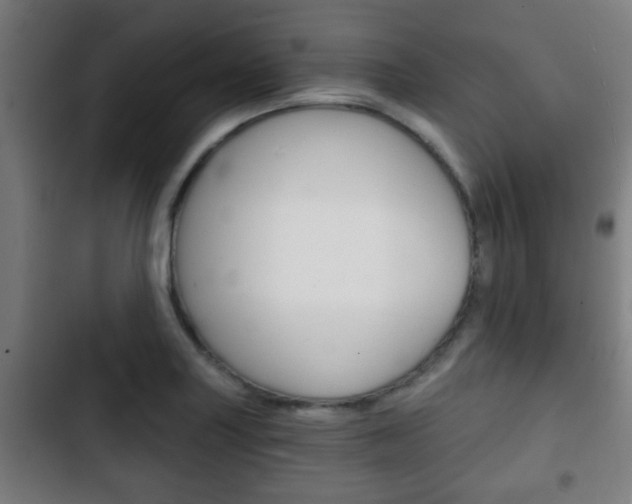 X0000103221227200808280918