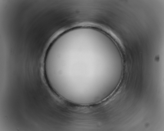 X0000103221229200808280918