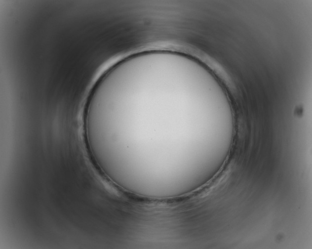 X0000103221230200808280918