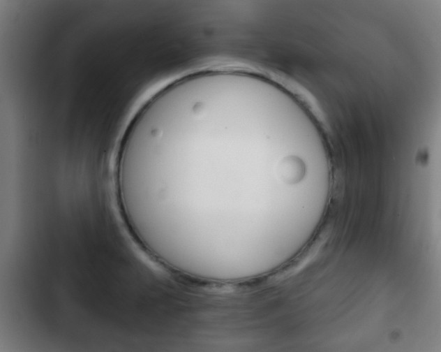 X0000103221231200808280918