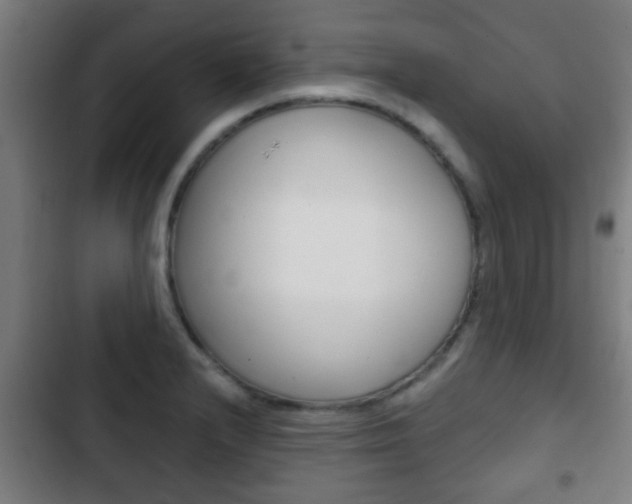 X0000103221232200808280918