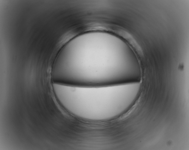 X0000103221233200808280918