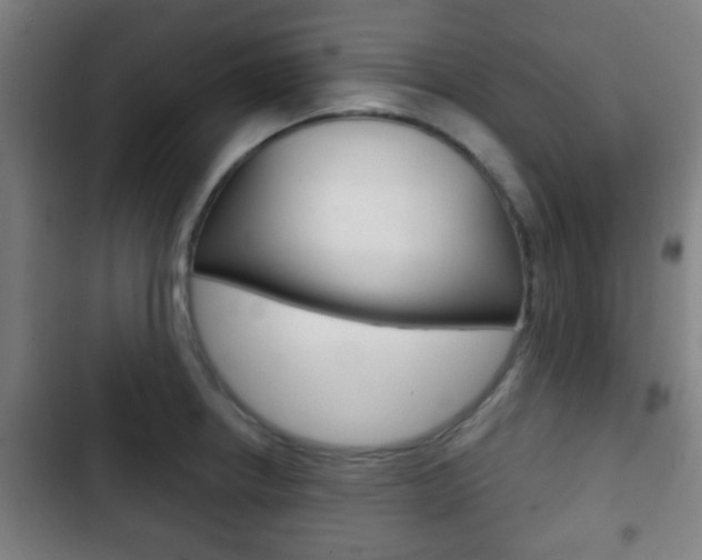 X0000103221234200808280918