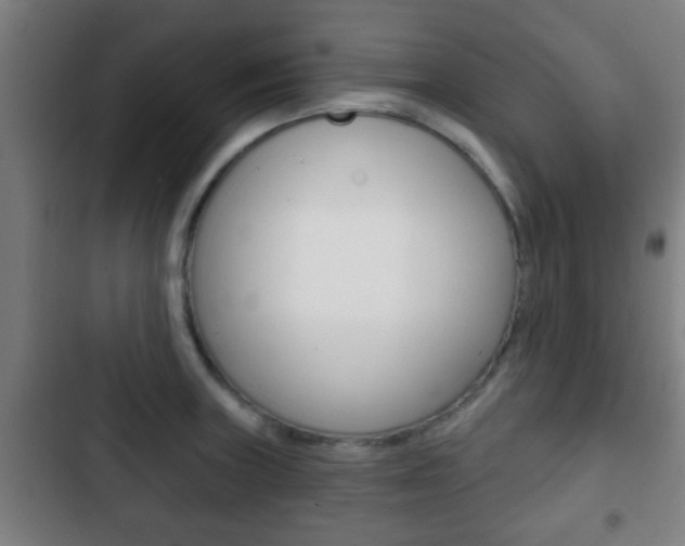 X0000103221235200808280918