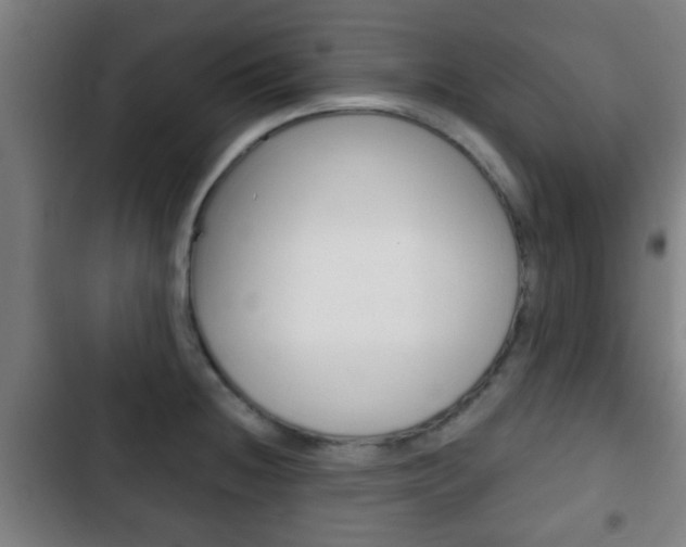 X0000103221236200808280918