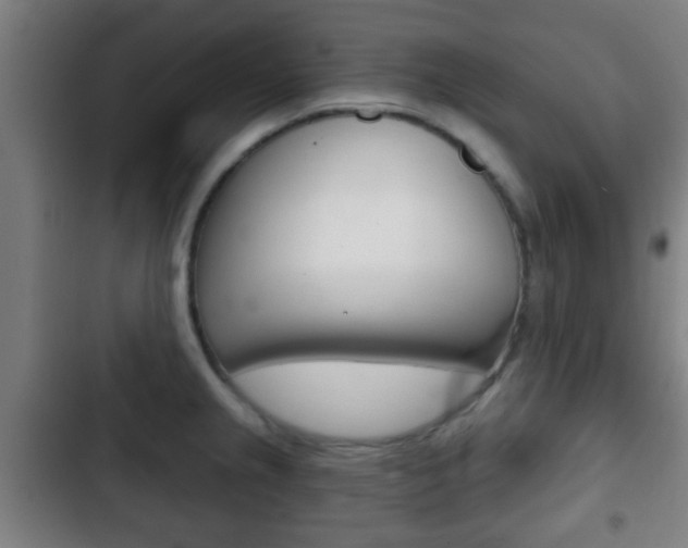 X0000103221237200808280918
