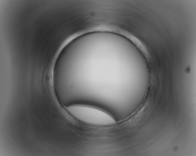 X0000103221238200808280918