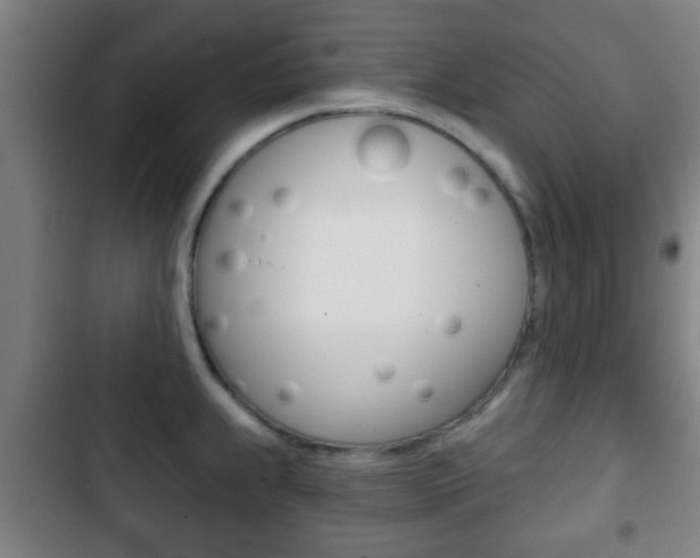 X0000103221239200808280918