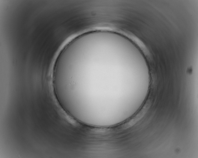 X0000103221240200808280918
