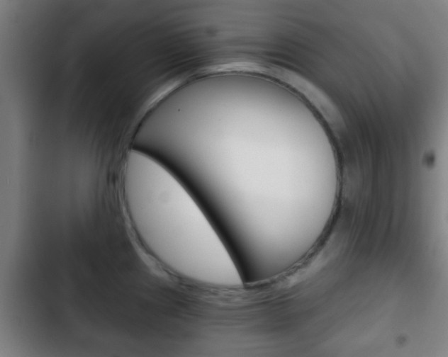 X0000103221241200808280918
