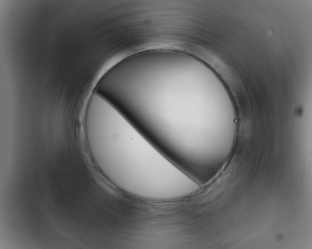 X0000103221242200808280918