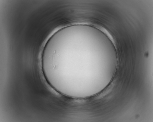 X0000103221243200808280918