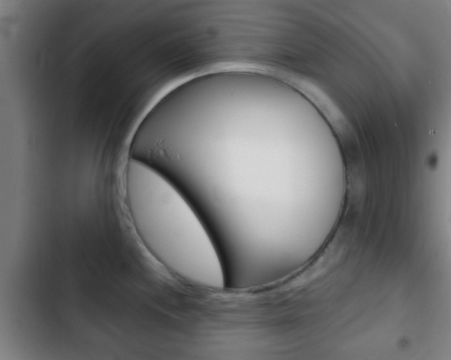 X0000103221244200808280918
