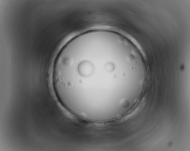 X0000103221245200808280918