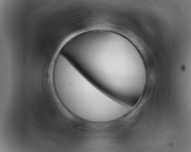 X0000103221246200808280918