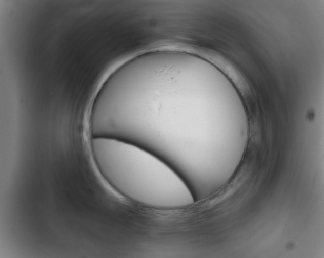 X0000103221247200808280918