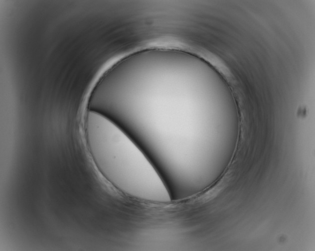 X0000103221248200808280918