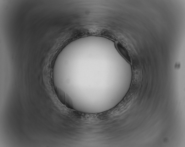X0000103221249200808280918