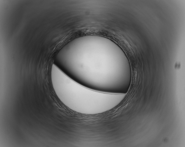 X0000103221250200808280918
