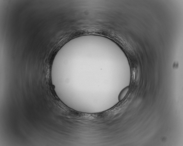 X0000103221251200808280918