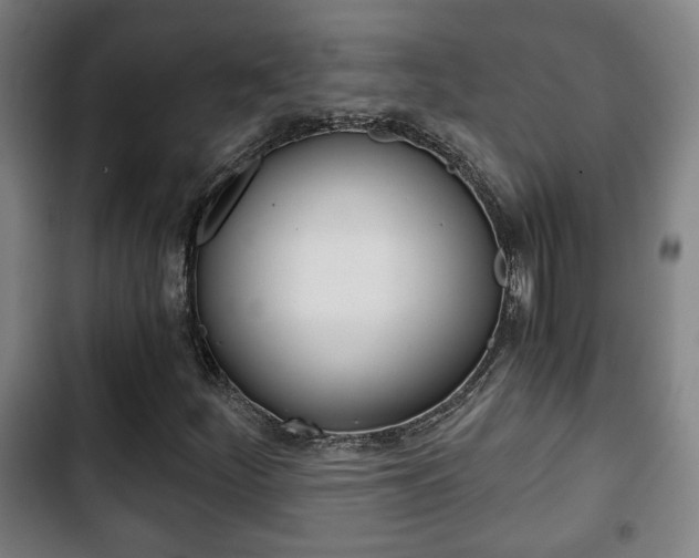 X0000103221252200808280918