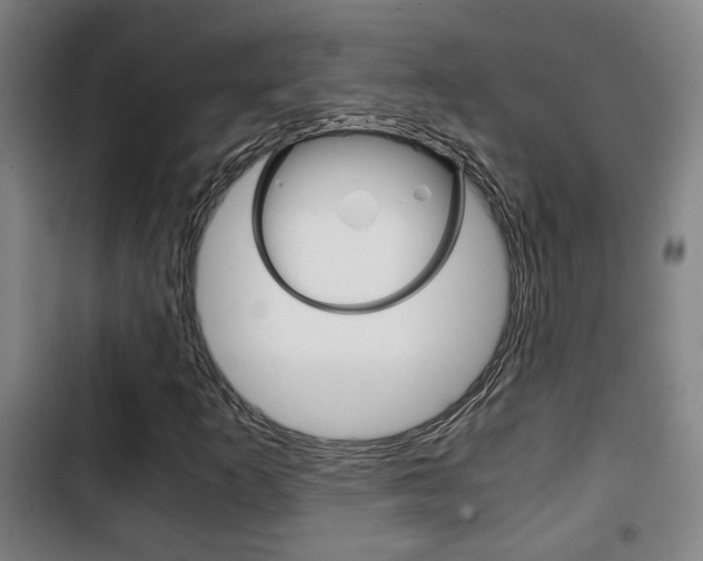 X0000103221253200808280918