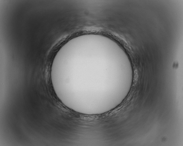 X0000103221254200808280918