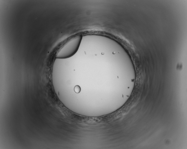 X0000103221255200808280918