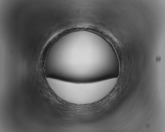 X0000103221256200808280918