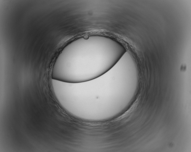 X0000103221257200808280918