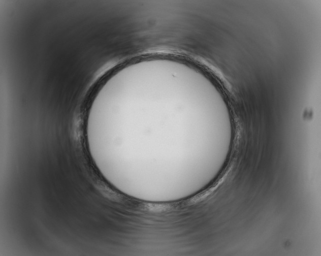 X0000103221258200808280918