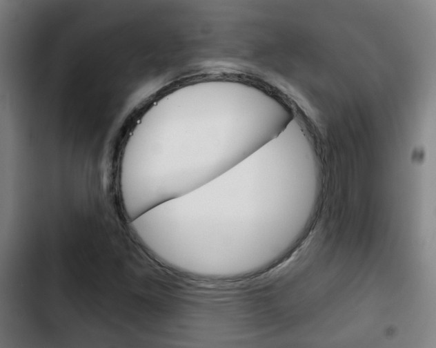 X0000103221261200808280918