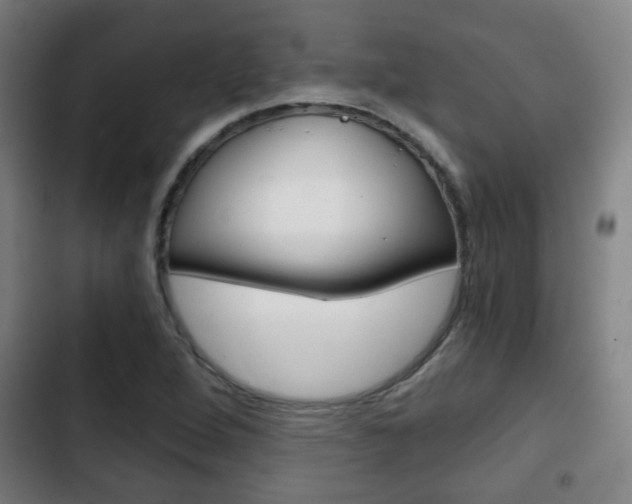X0000103221264200808280918