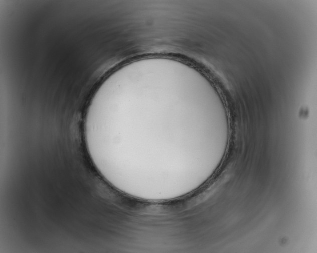 X0000103221265200808280918