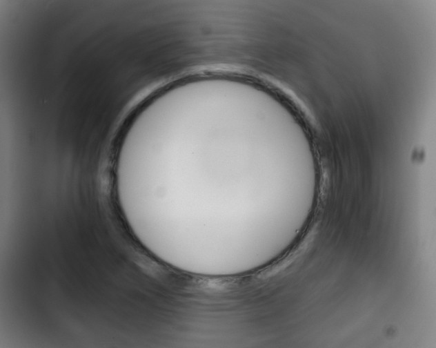 X0000103221266200808280918
