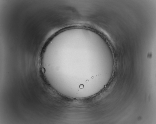 X0000103221267200808280918