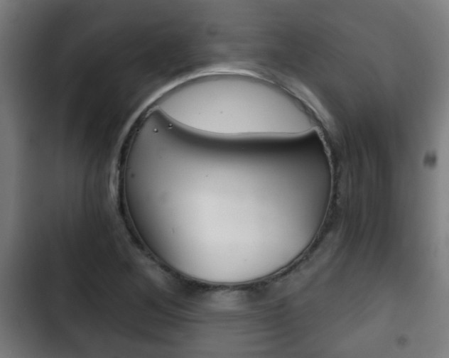 X0000103221268200808280918