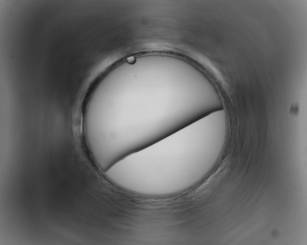 X0000103221269200808280918