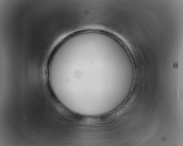 X0000103221271200808280917