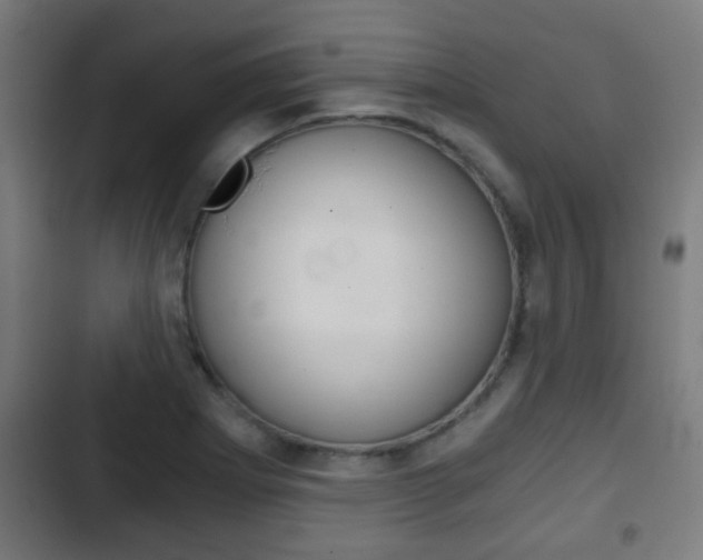 X0000103221273200808280917