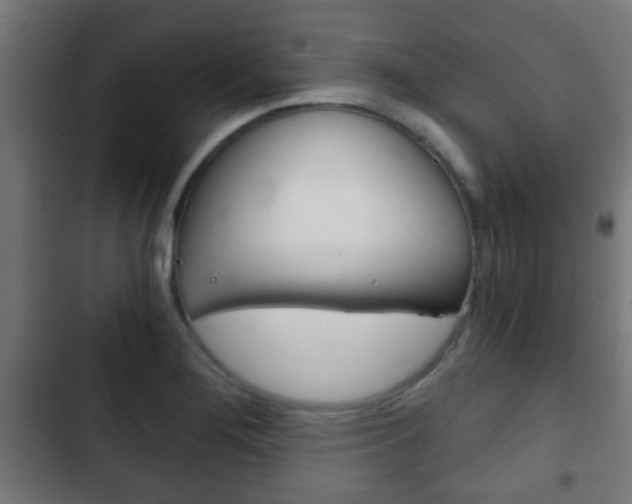 X0000103221276200808280917
