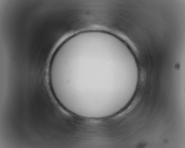 X0000103221278200808280917