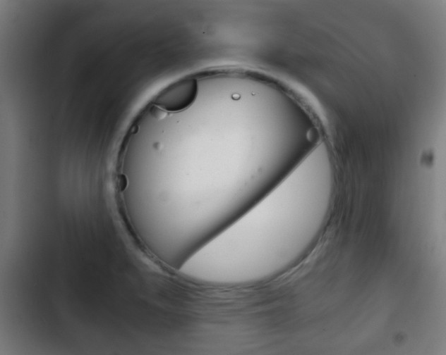 X0000103221279200808280917