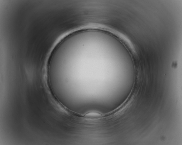 X0000103221280200808280917