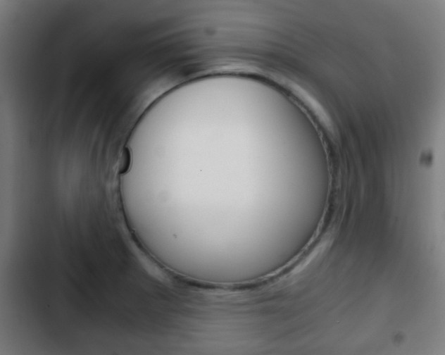 X0000103221281200808280917