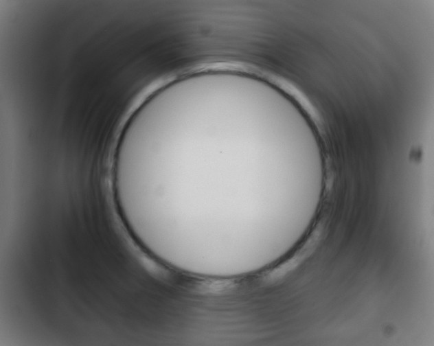 X0000103221282200808280917