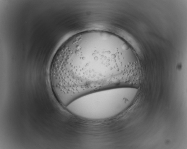 X0000103221283200808280917
