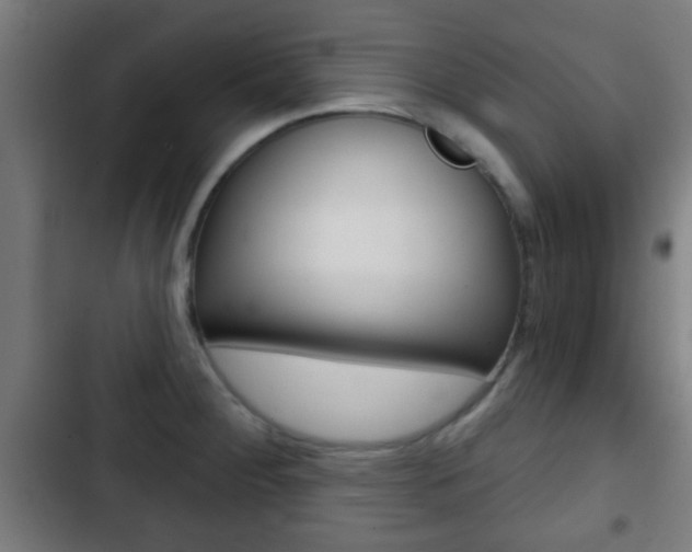 X0000103221284200808280917