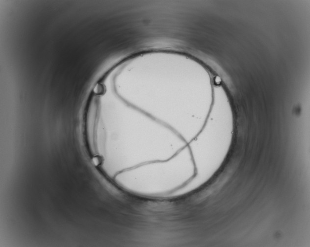 X0000103221285200808280917